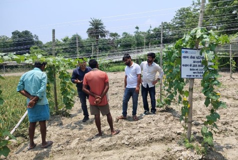 Development Immersion field activity - PDM11 participants